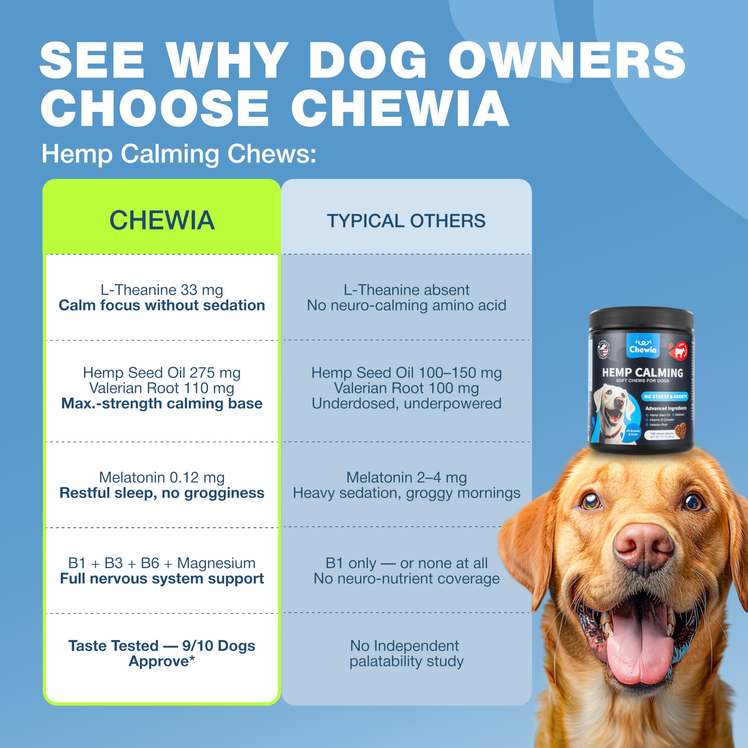 Dog on car trip with CHEWIA chews for travel stress support.