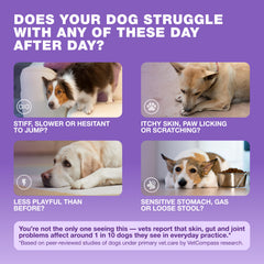 Close‑up of CHEWIA dog vitamins chews for skin and coat health