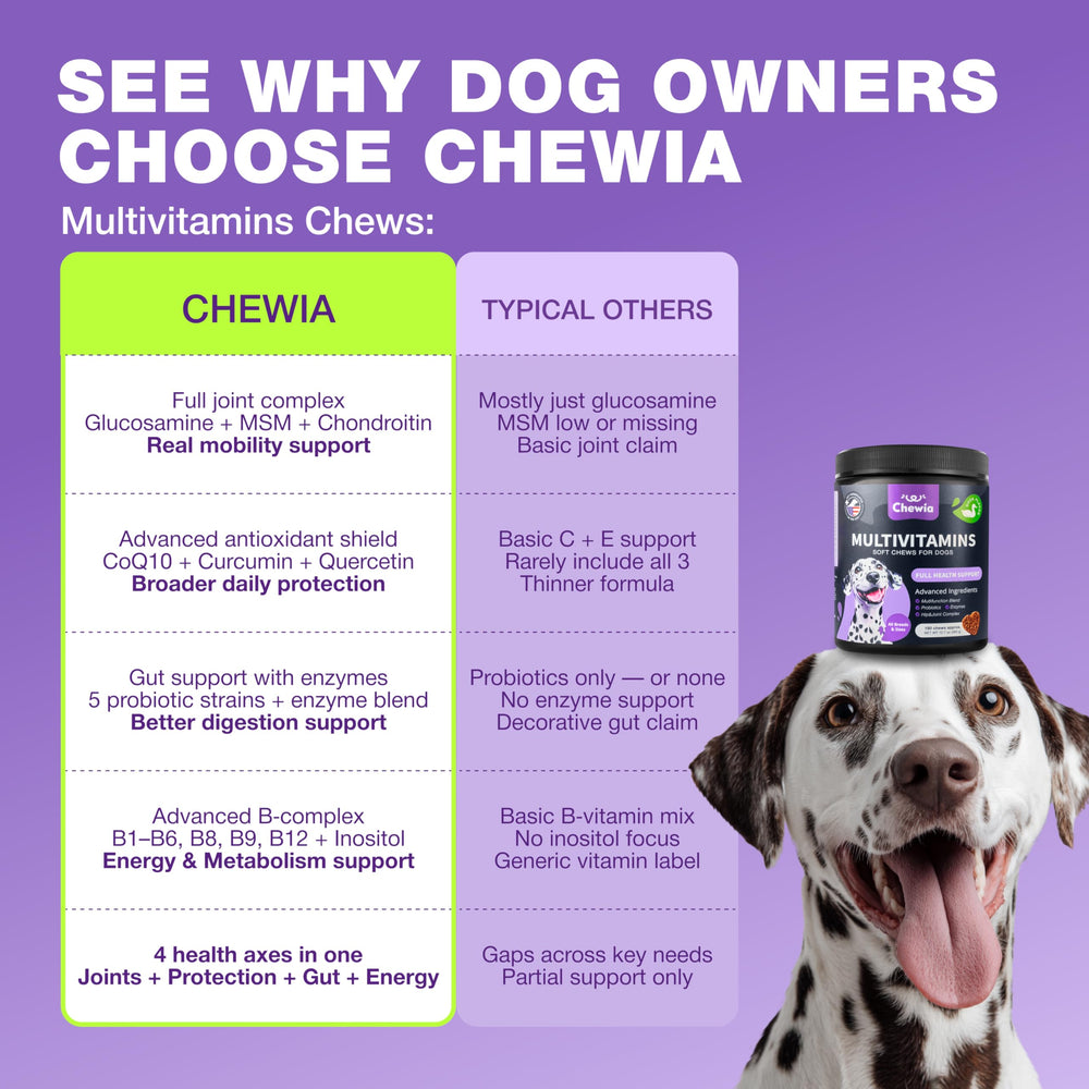 CHEWIA dog vitamins chews shown in daily routine