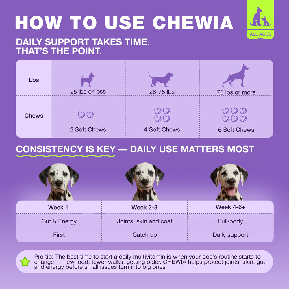 CHEWIA dog vitamins supporting digestion with enzymes