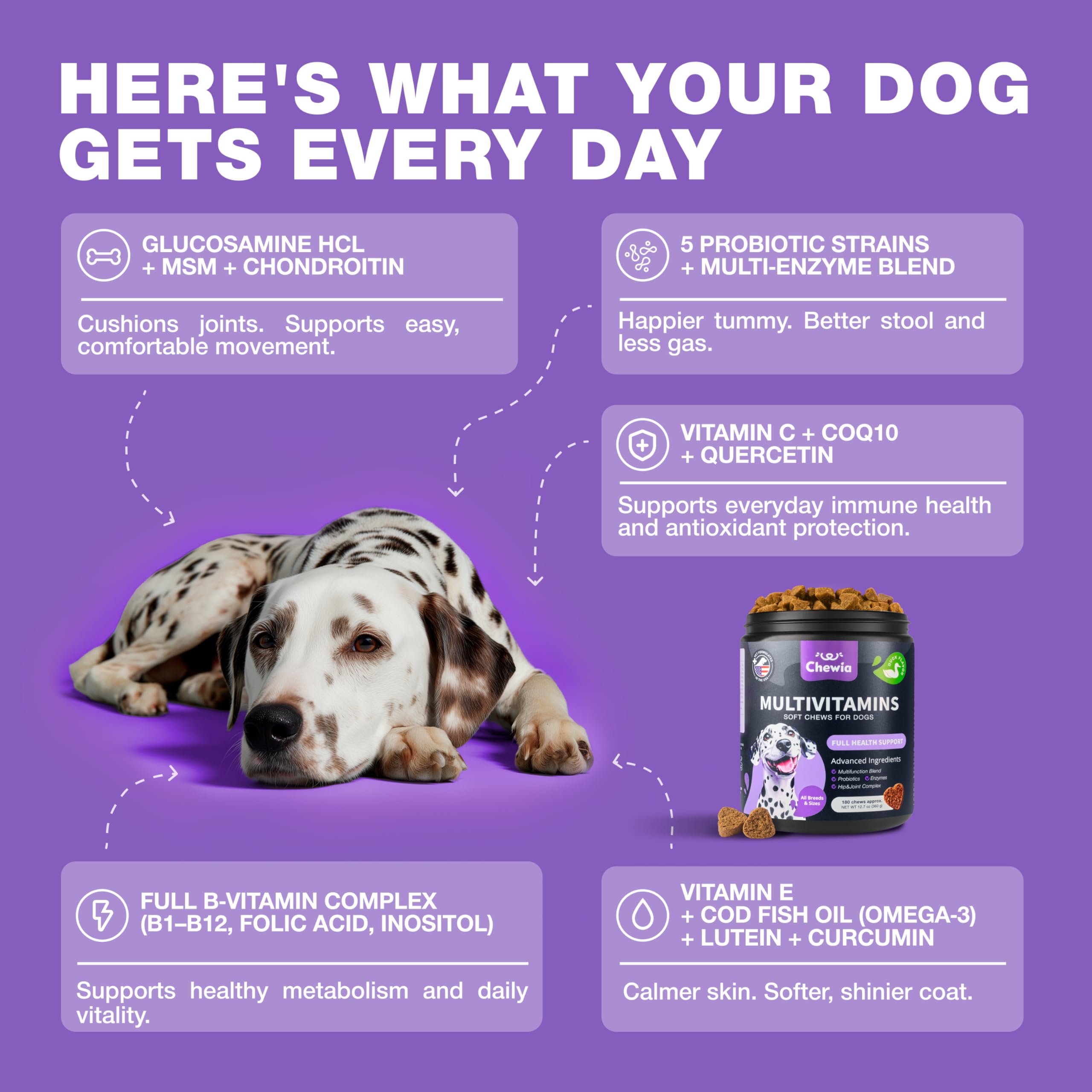Energetic dog in motion with CHEWIA dog vitamins