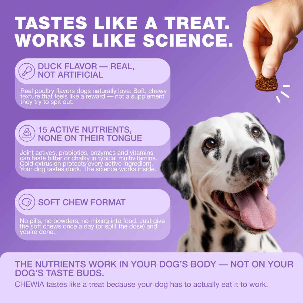 CHEWIA dog vitamins supporting immune wellness