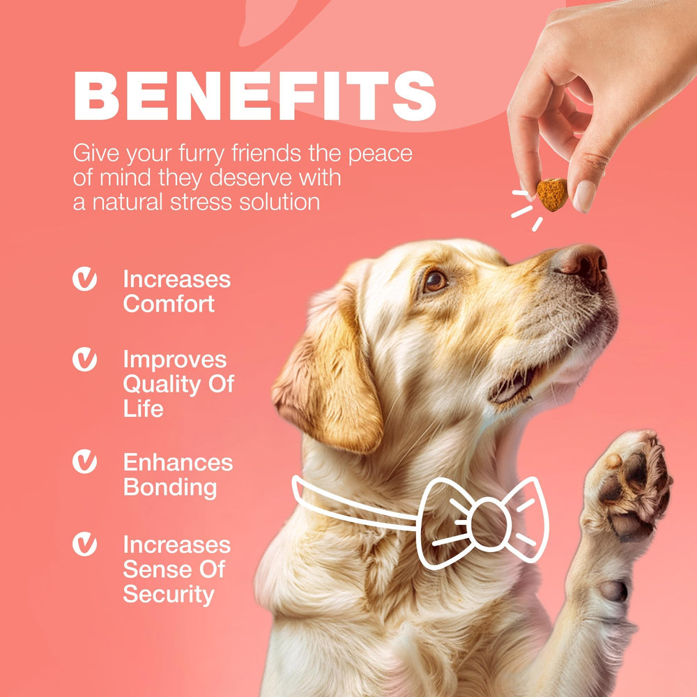 Flavored CHEWIA treats for dogs with a tasty aroma.