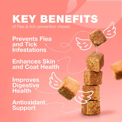 CHEWIA salmon flavor chews served, tasty daily prevention for cats.