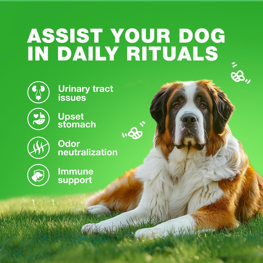 CHEWIA Grass Burn Spot Chews dog-digest close-up suggests balanced nutrients.