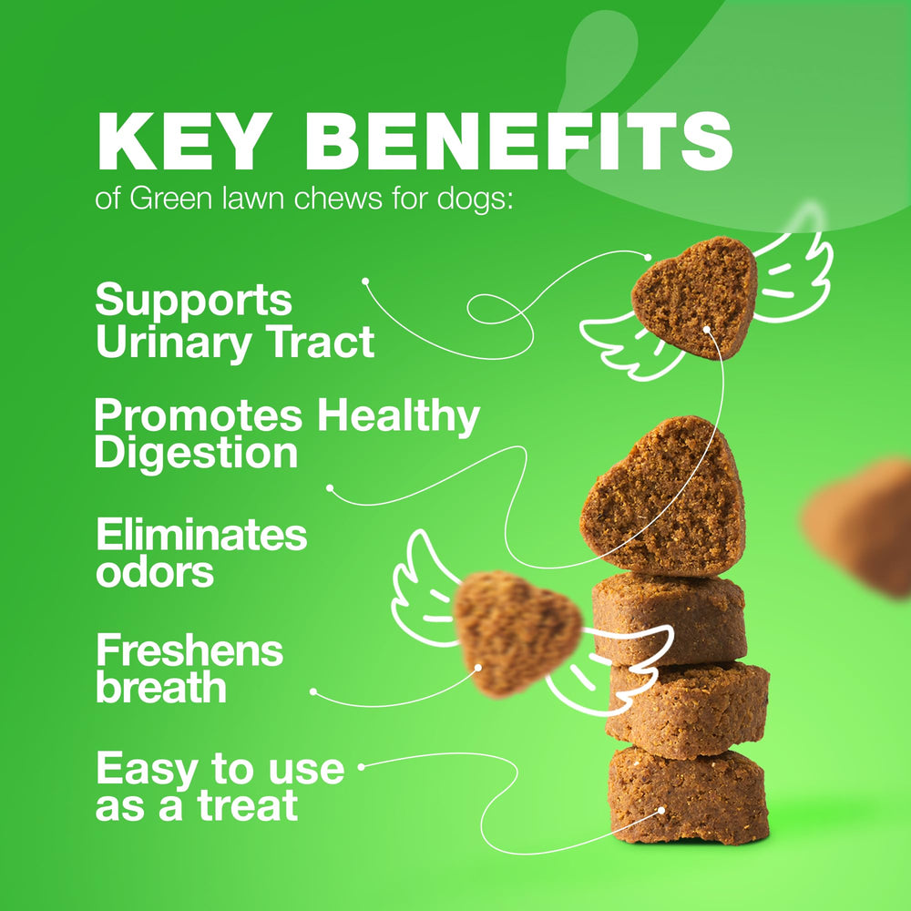 CHEWIA Grass Burn Spot Chews ingredients-label highlights probiotics and enzymes.