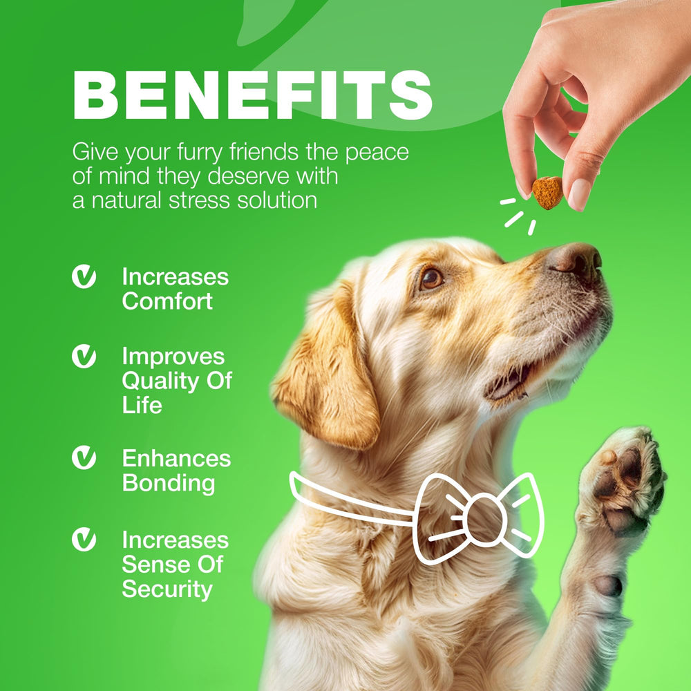 CHEWIA Grass Spot Chews bottle label highlighting urinary balance