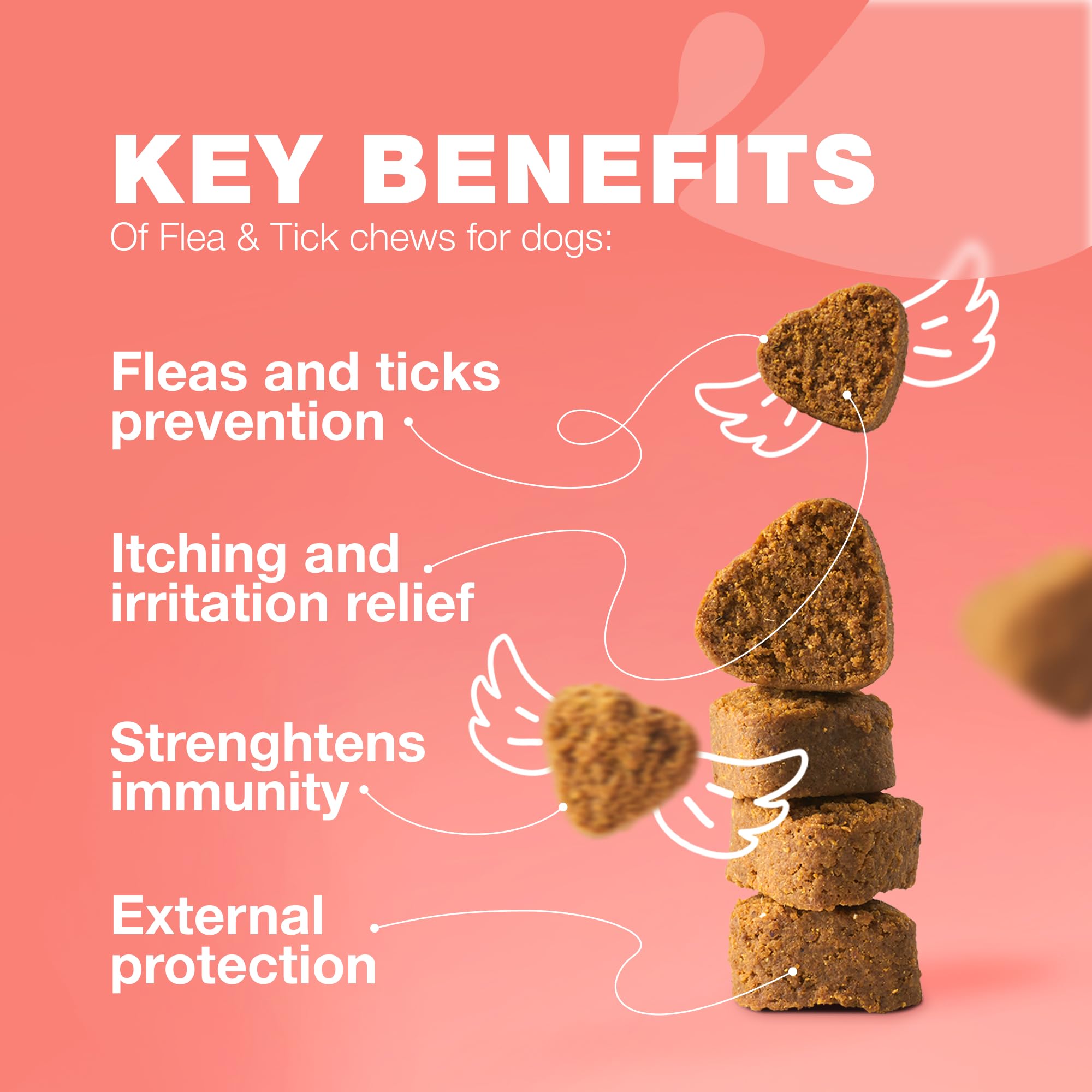 CHEWIA immune-support chews highlight immune health support for dogs.