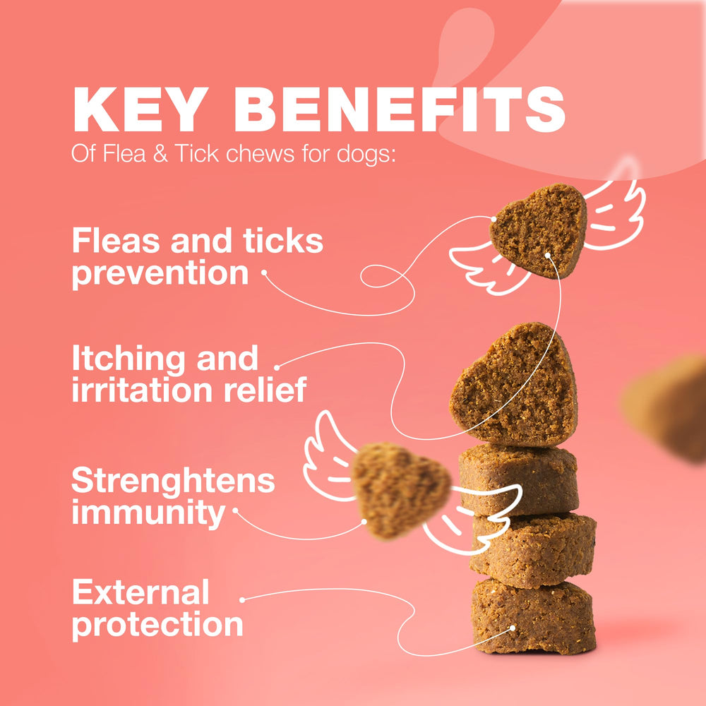 CHEWIA immune-support chews highlight immune health support for dogs.