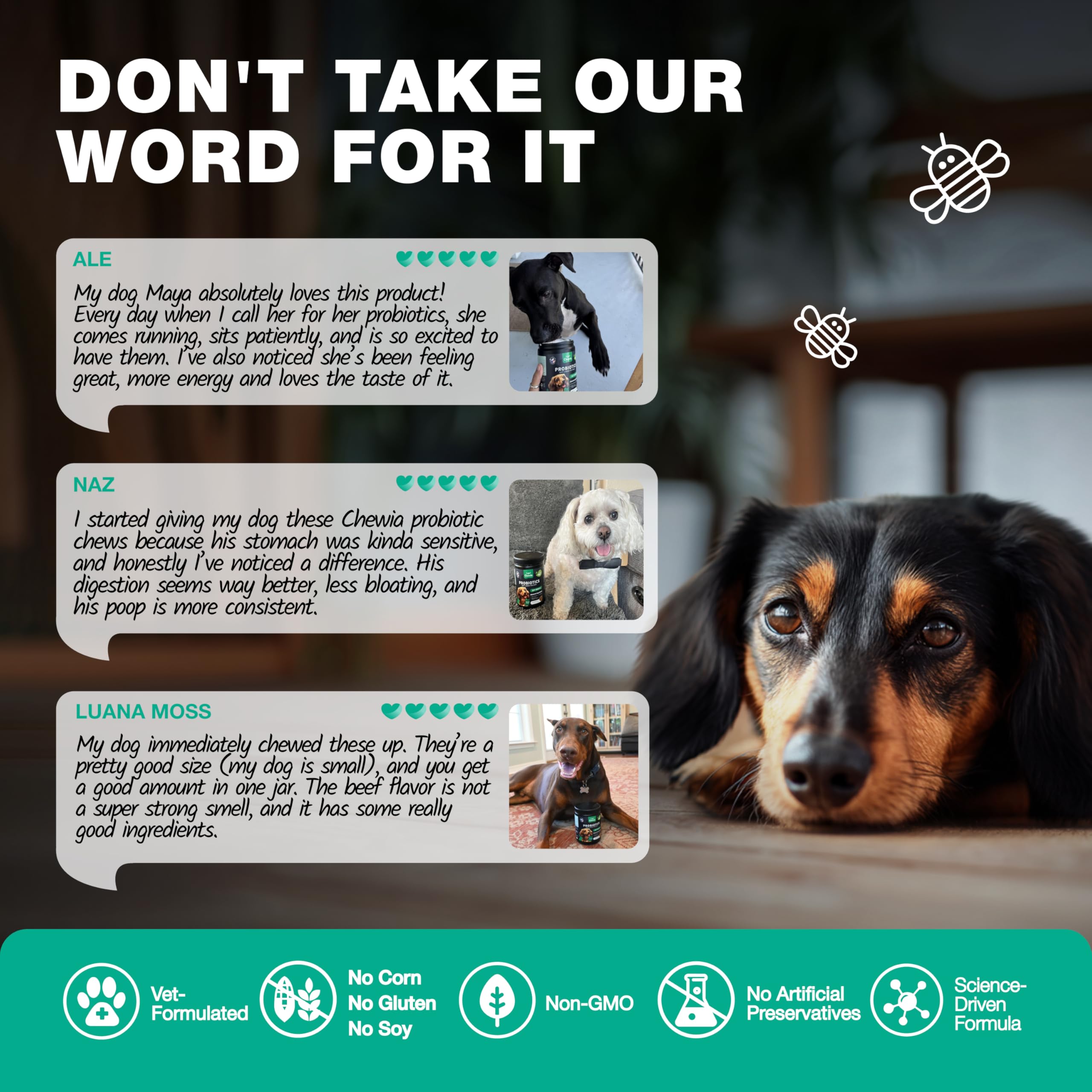 CHEWIA probiotic chews soft treats boost immunity with enzymes