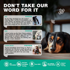 CHEWIA probiotic chews soft treats boost immunity with enzymes