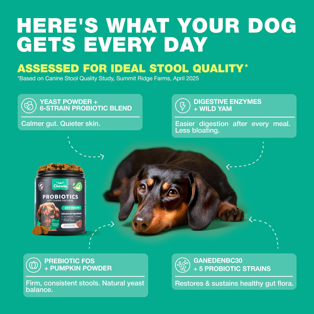 CHEWIA probiotics for dogs duck flavor aid skin and coat
