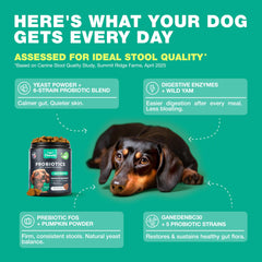CHEWIA probiotics for dogs duck flavor aid skin and coat