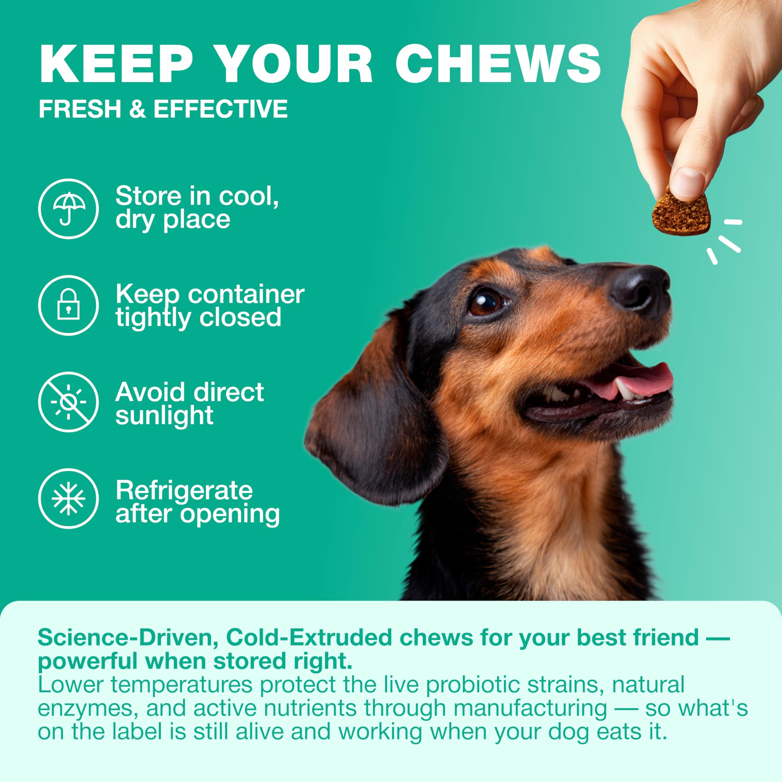 CHEWIA pumpkin-based treat supports gut flora balance