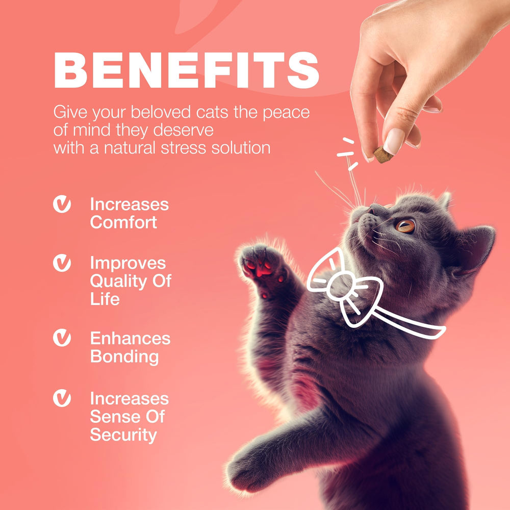 CHEWIA salmon flavor closeup, enticing scent that supports daily use.