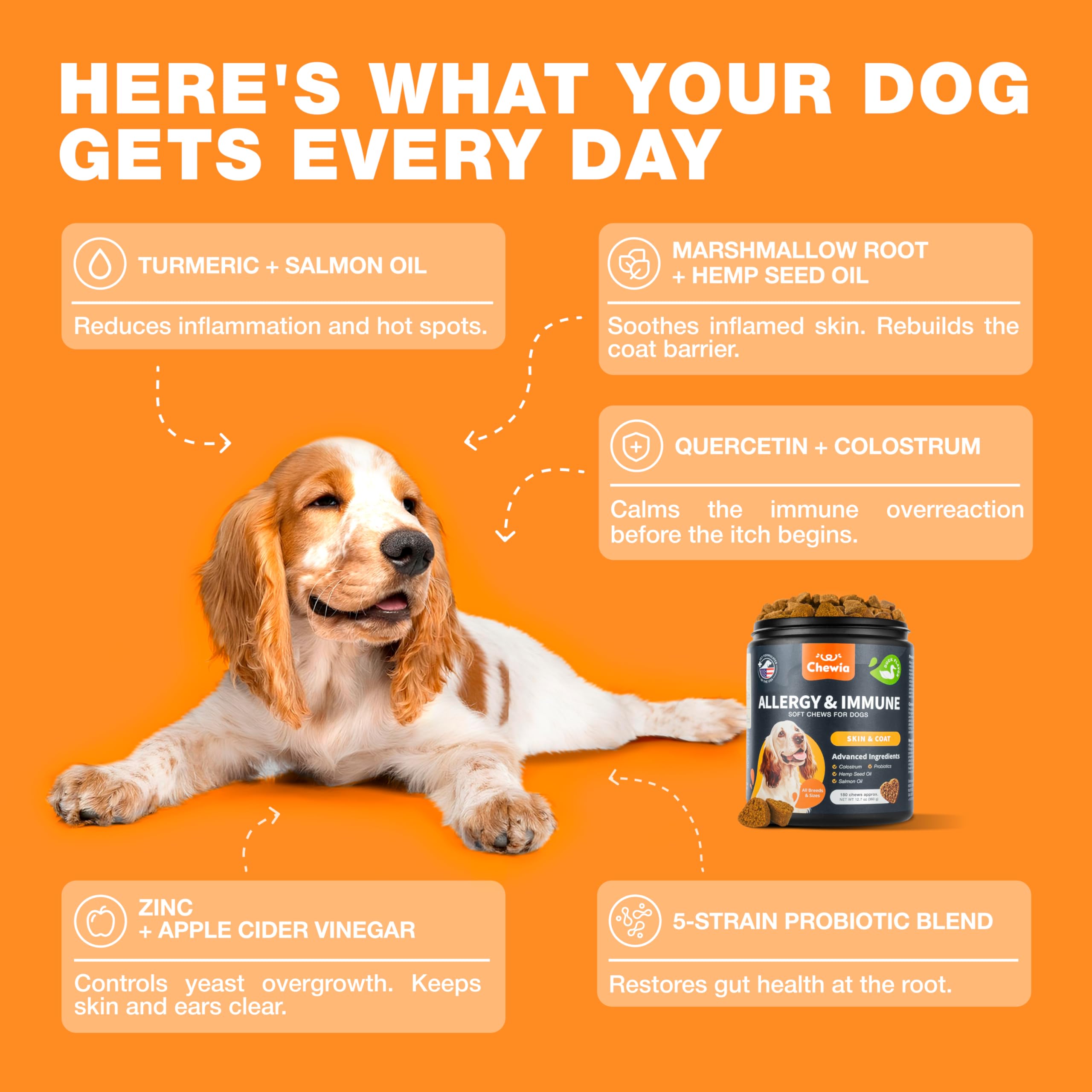 CHEWIA skin and coat chews with salmon oil for healthy shine.