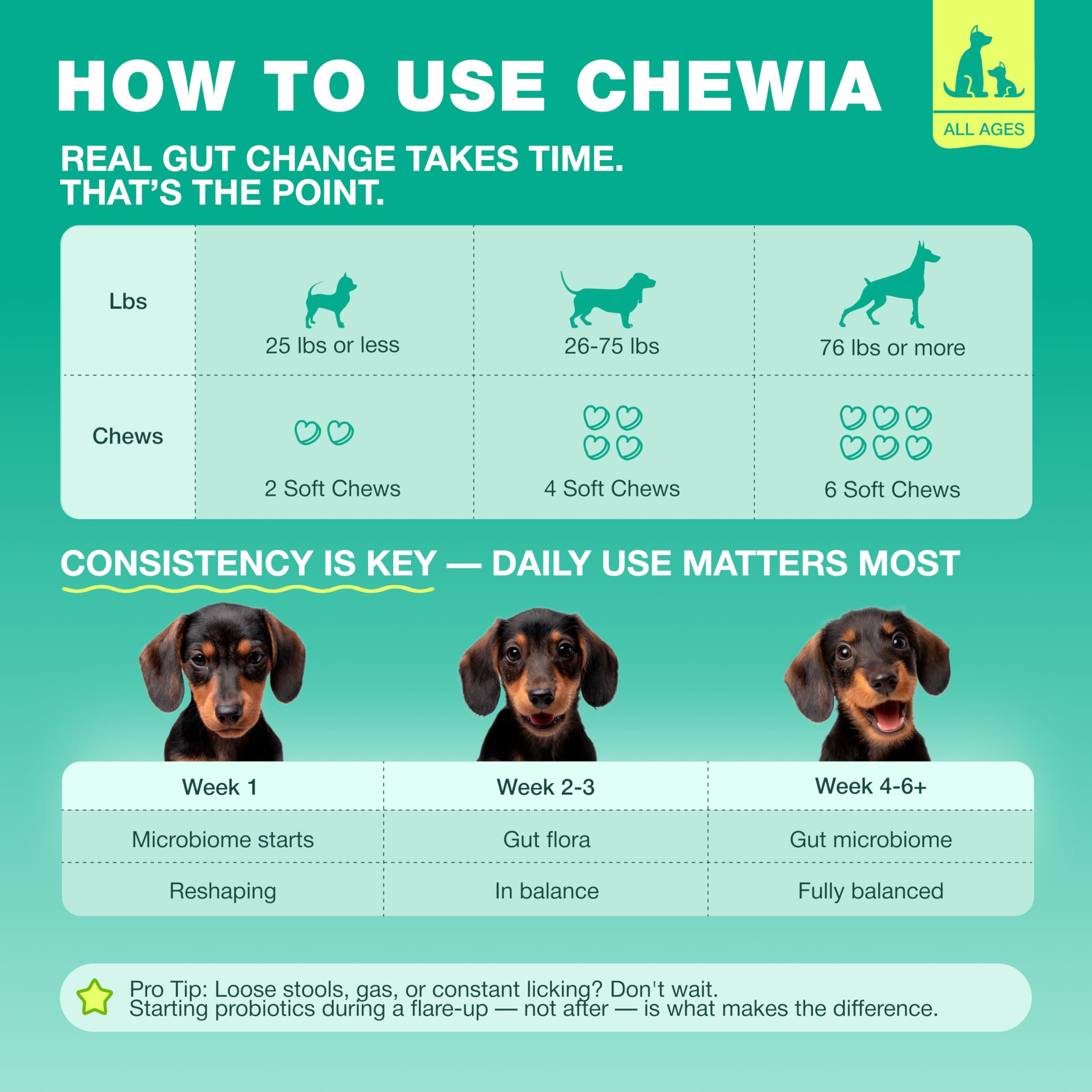 CHEWIA soft chews with digestive enzymes for daily use