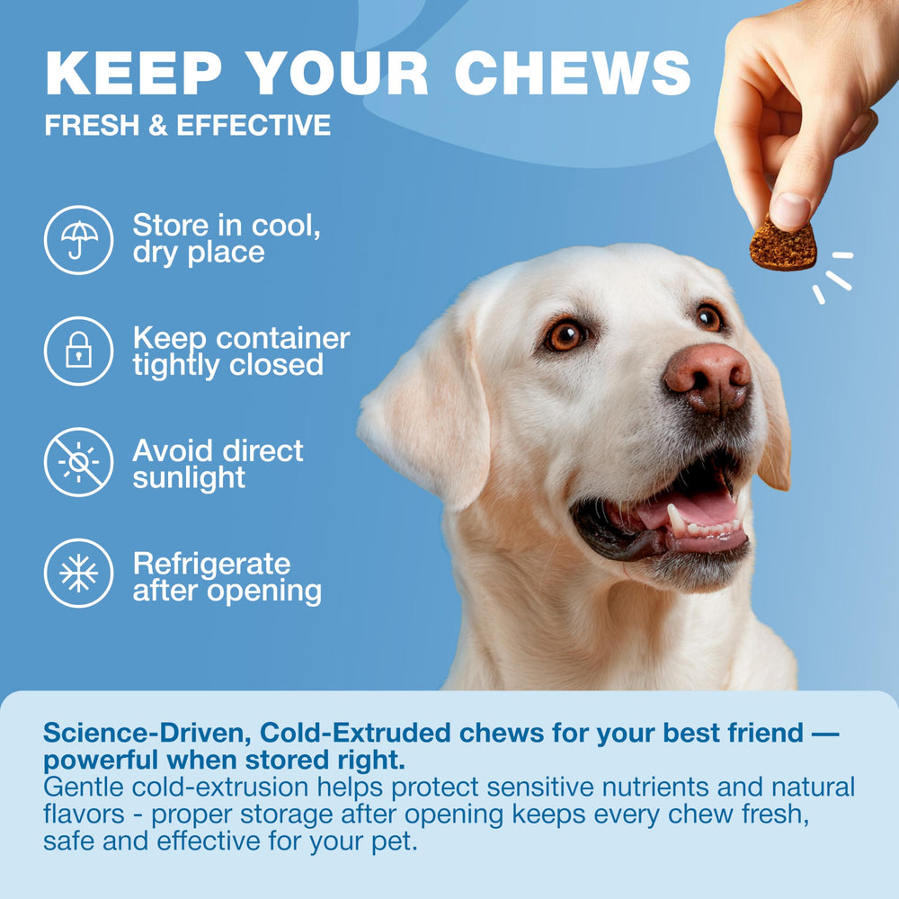 Dog calmly handling thunder with CHEWIA calming treats.