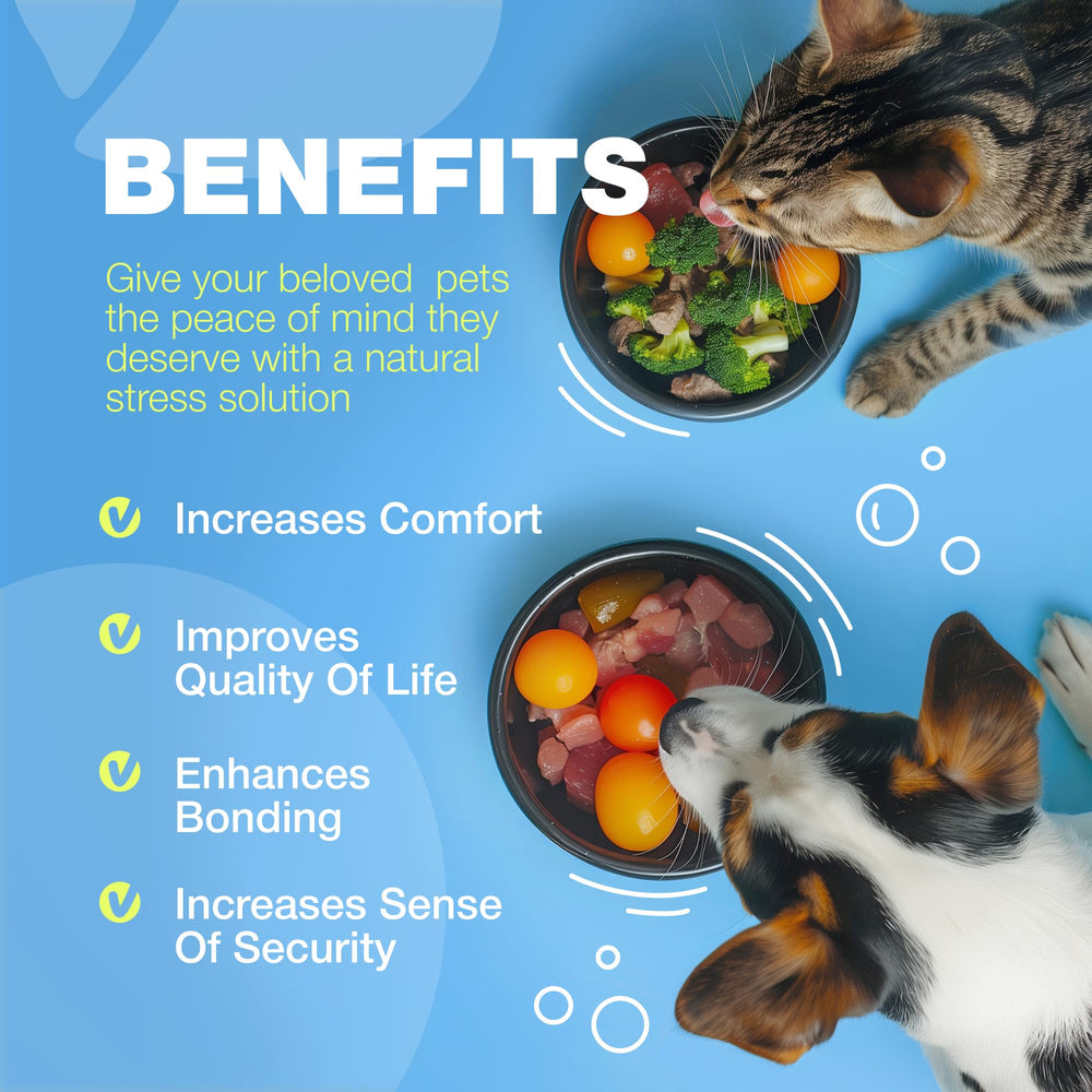 Chewia sustainable sourcing icons signaling eco-friendly omega-3 origin