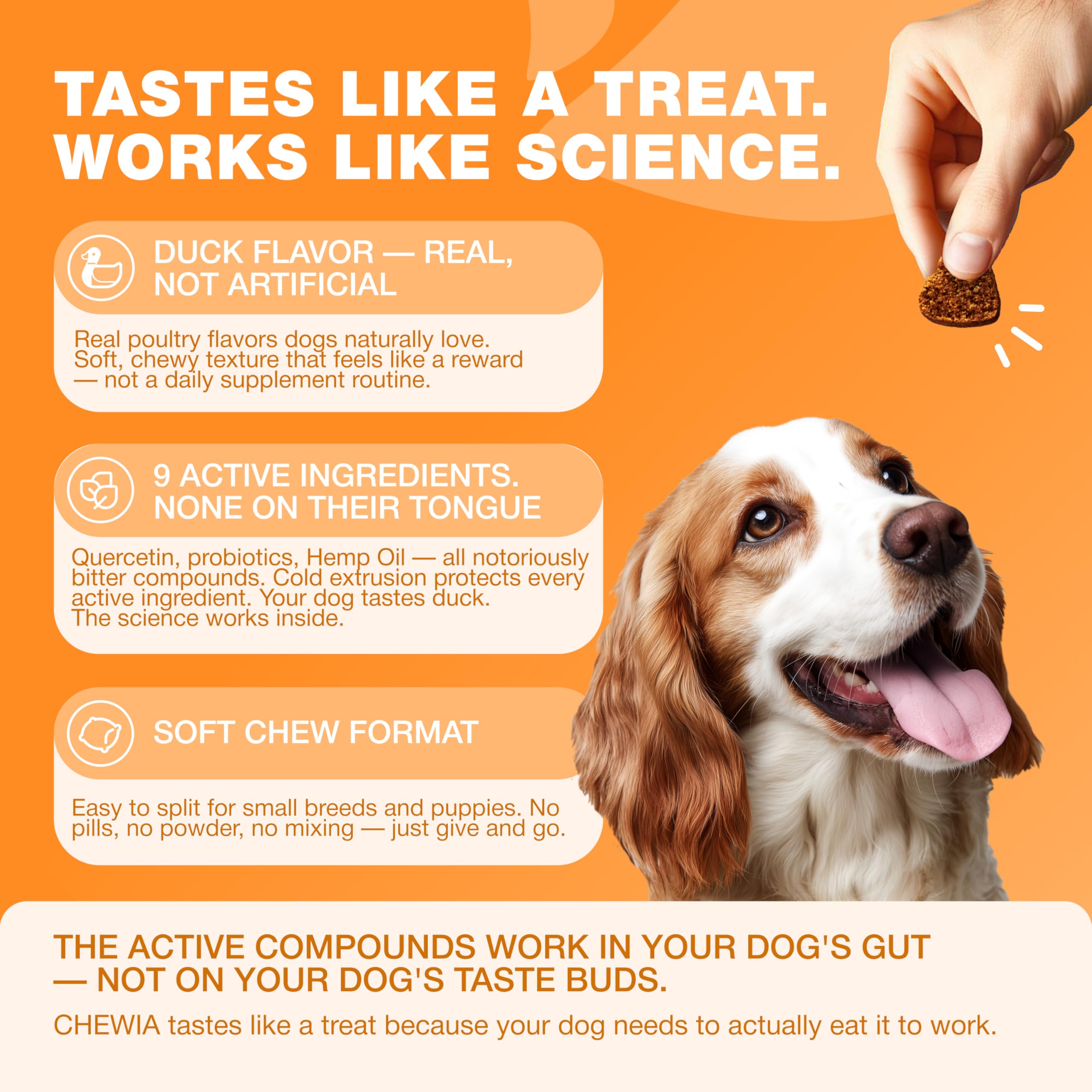 CHEWIA digestion-support chews next to a bowl for routine use.