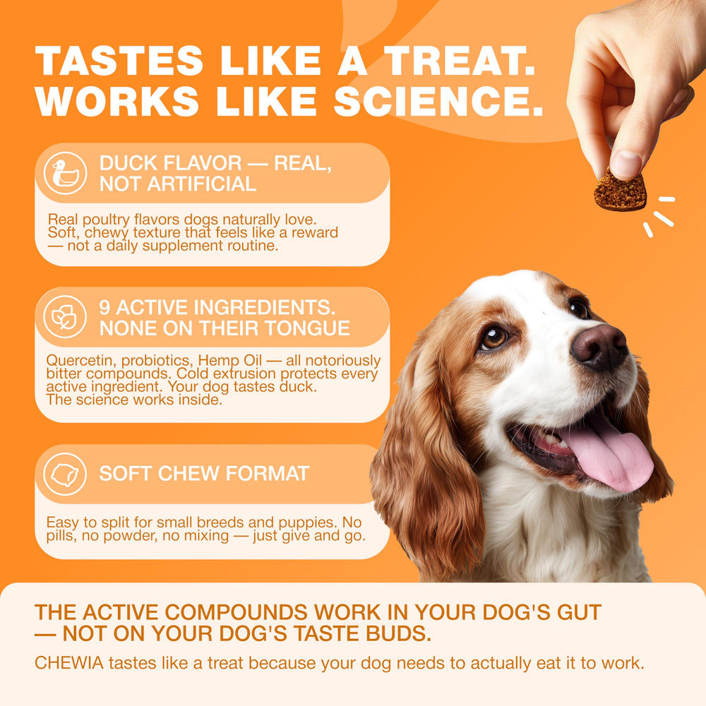 CHEWIA digestion-support chews next to a bowl for routine use.