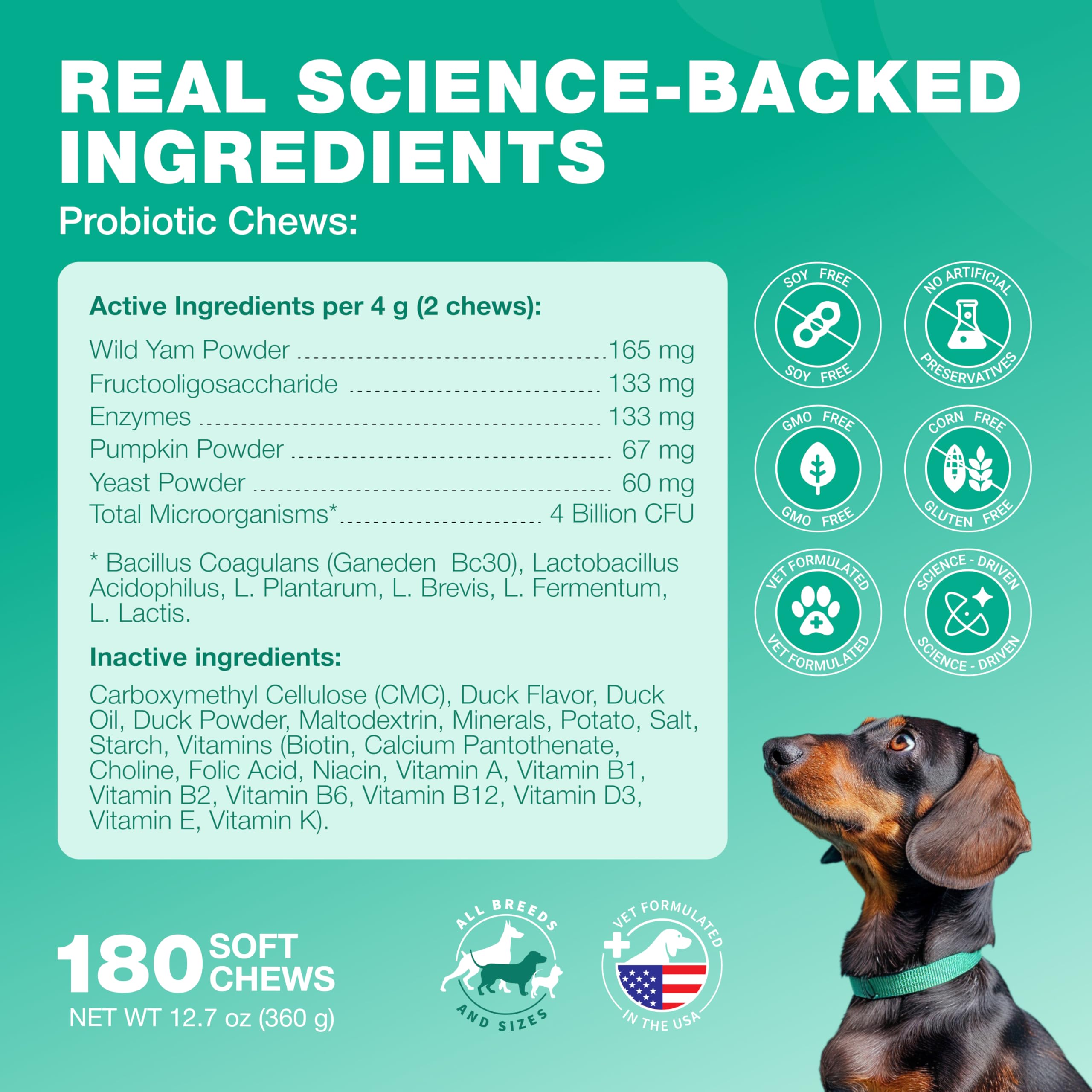 CHEWIA yeast balance support with wild yam and pumpkin