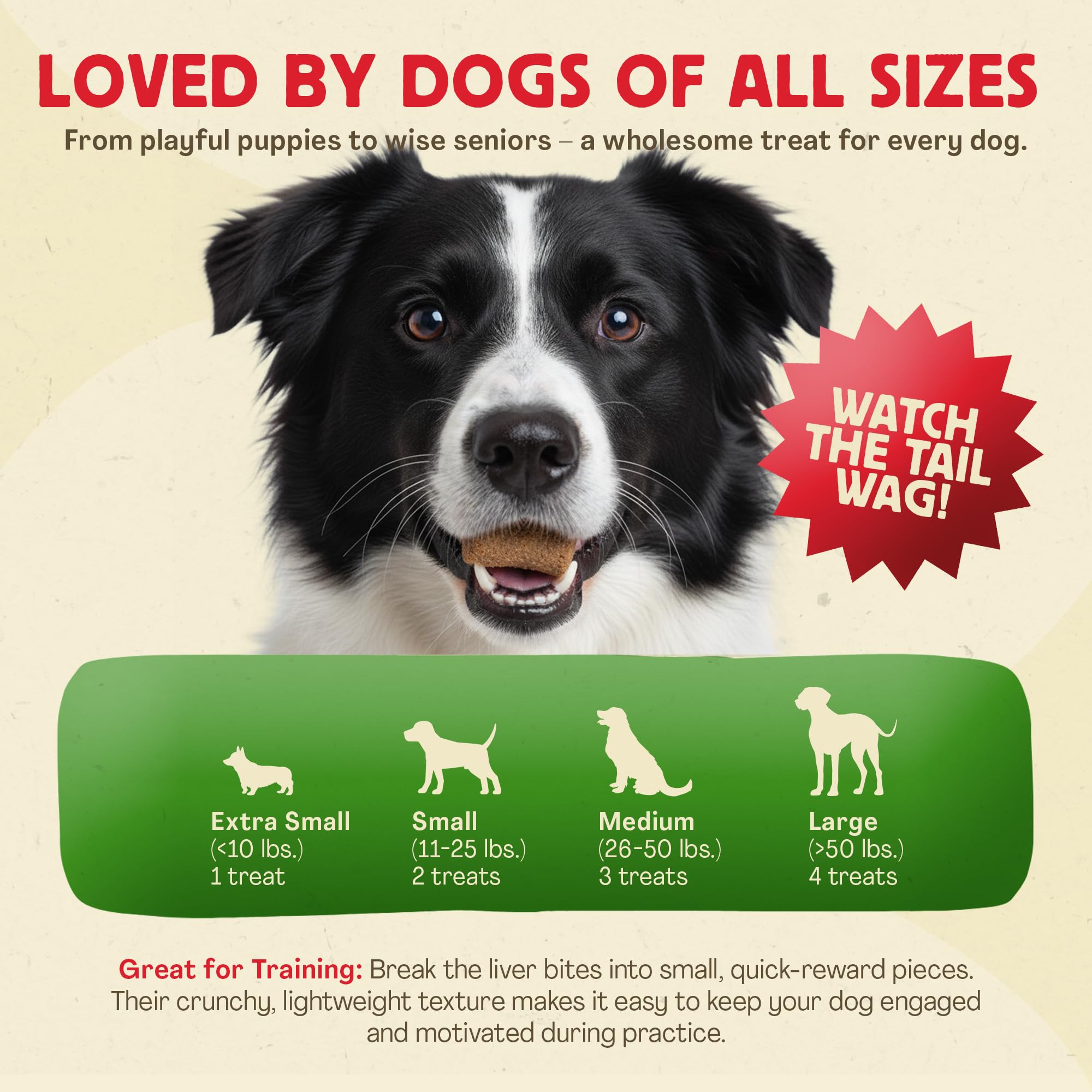 Chewmasters resealable pack keeps treats fresh and portable for on-the-go rewards.