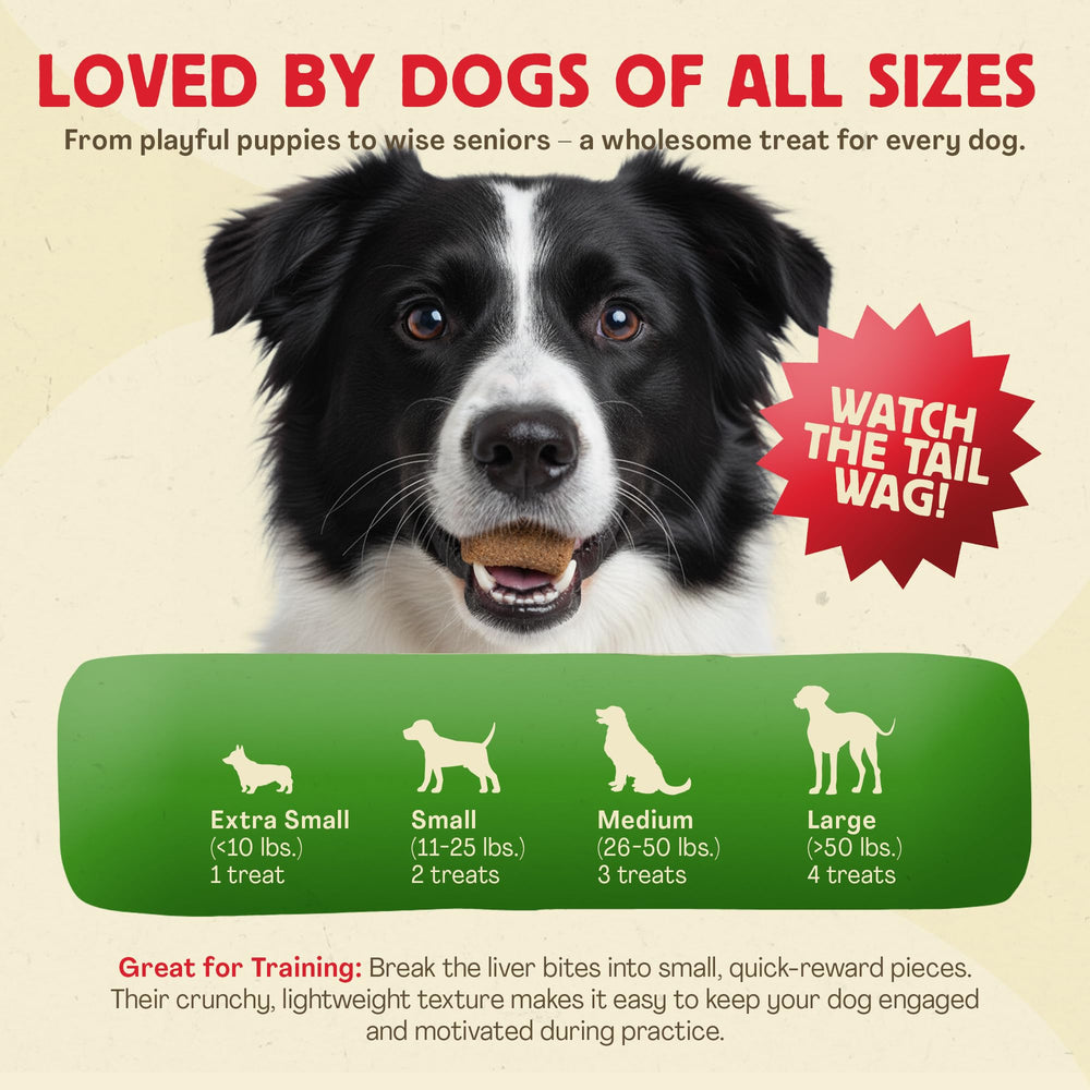 Chewmasters resealable pack keeps treats fresh and portable for on-the-go rewards.