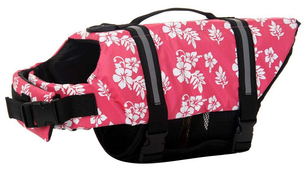 ChezAbbey Dog Life Jacket front view showing buoyancy and fit.