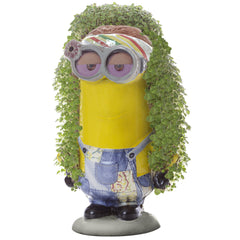 Chia Pet Kevin Minions growth over weeks reveals a lush green coat