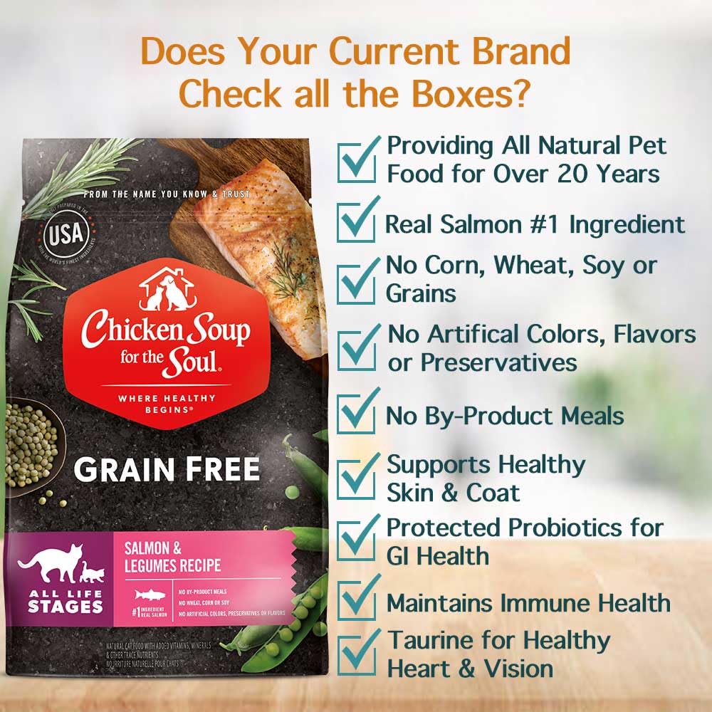 Chicken Soup for the Soul grain-free kibble close-up for sensitive stomachs.