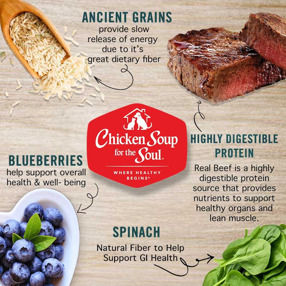 Chicken Soup for the Soul antioxidants support immune health.