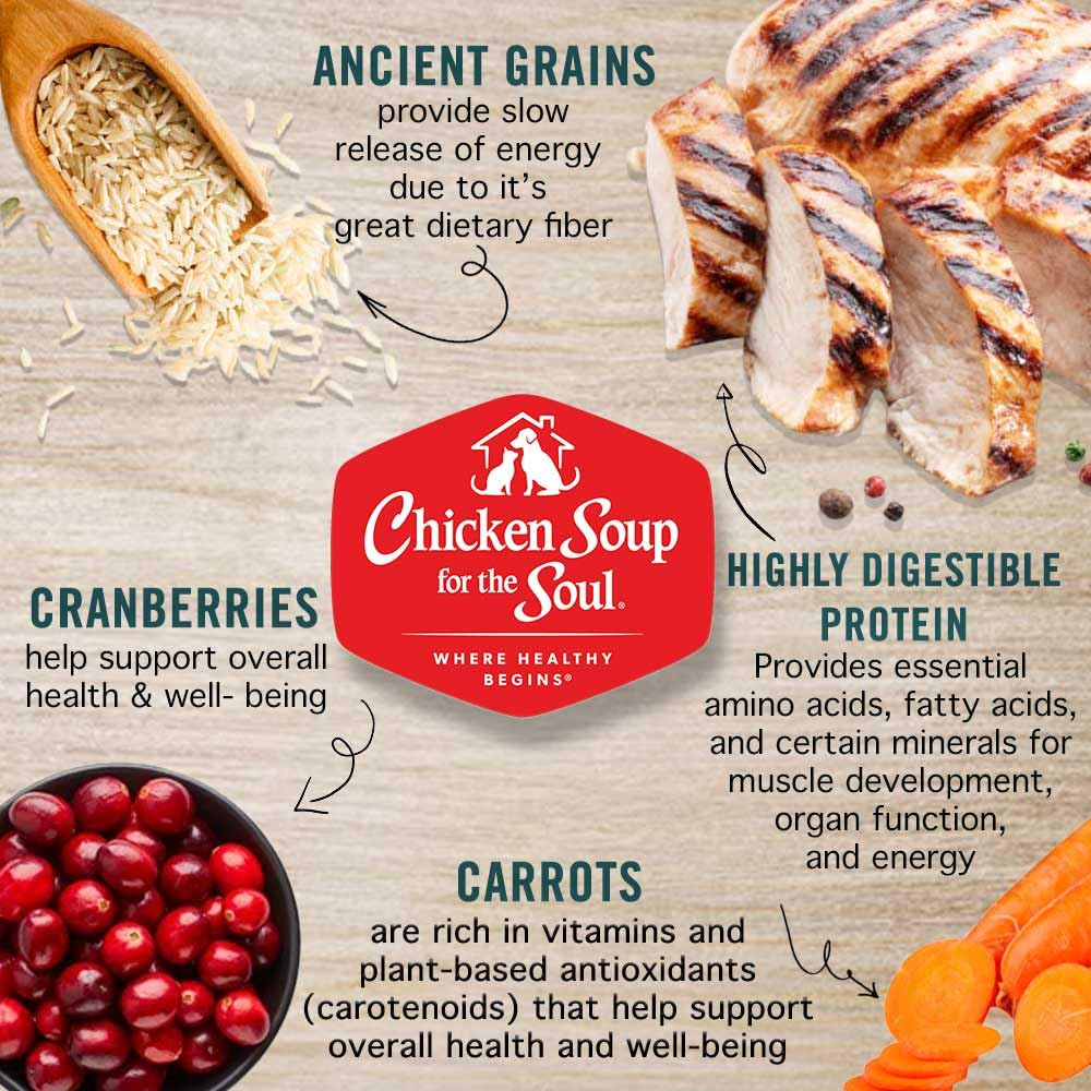 Chicken Soup for the Soul Mature Wet Dog Food ingredients-closeup-grains-fruits, highlighting wholesome oats and berries for energy.