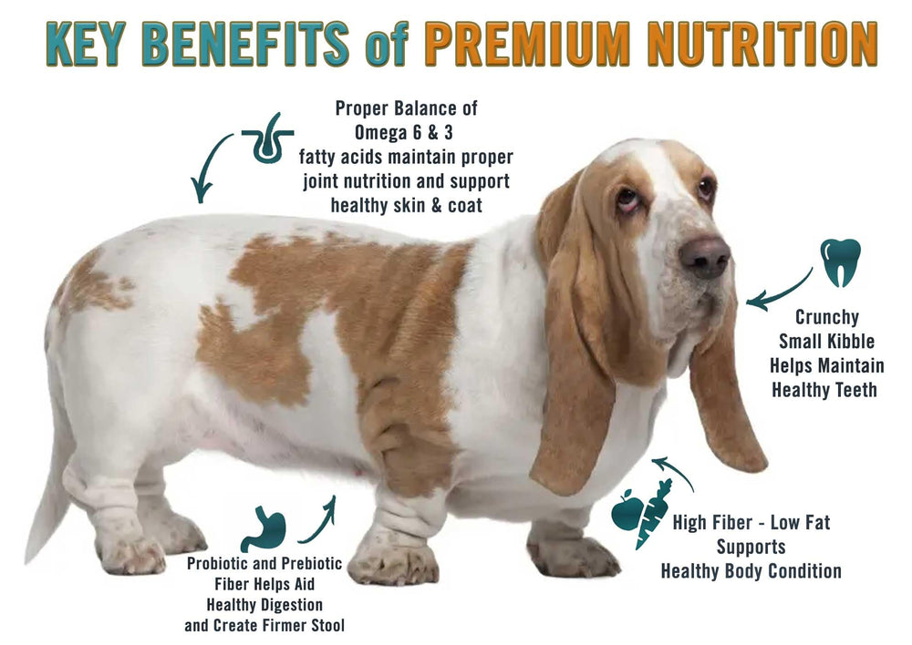 Chicken Soup for the Soul Weight Care kibble close-up reveals high-fiber formula