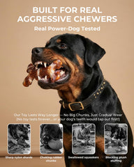 ChienBox Classic-Bone chew with solid nylon durability.