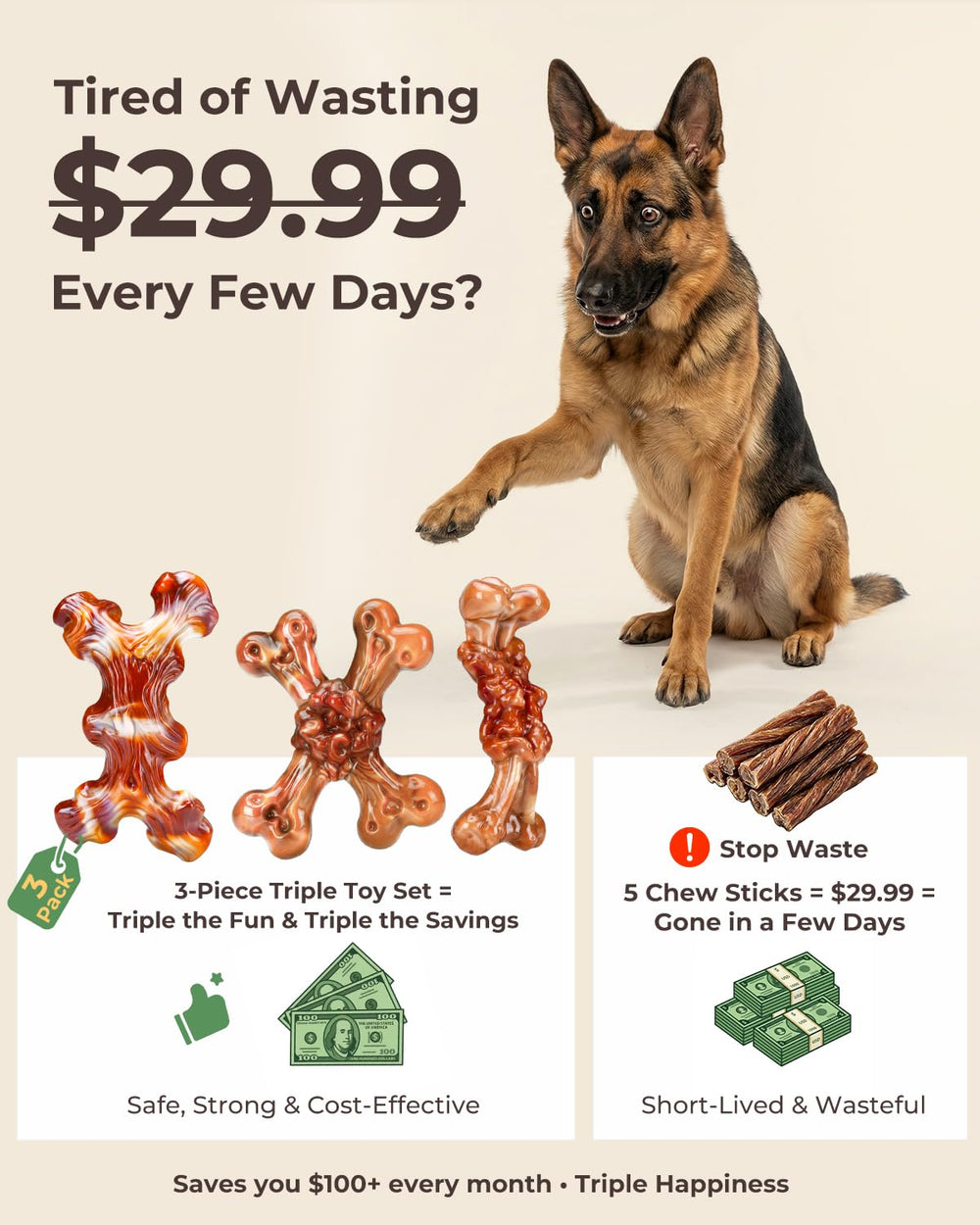 ChienBox dog chews in action demonstrating durable design.