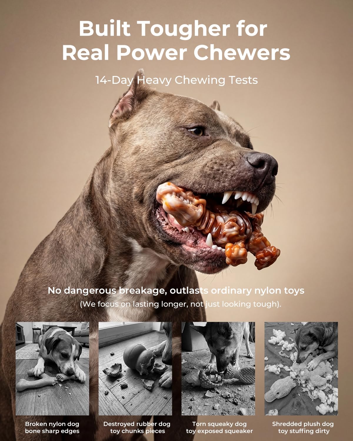 ChienBox two-pack dinosaur bone nylon chew toys for large dogs