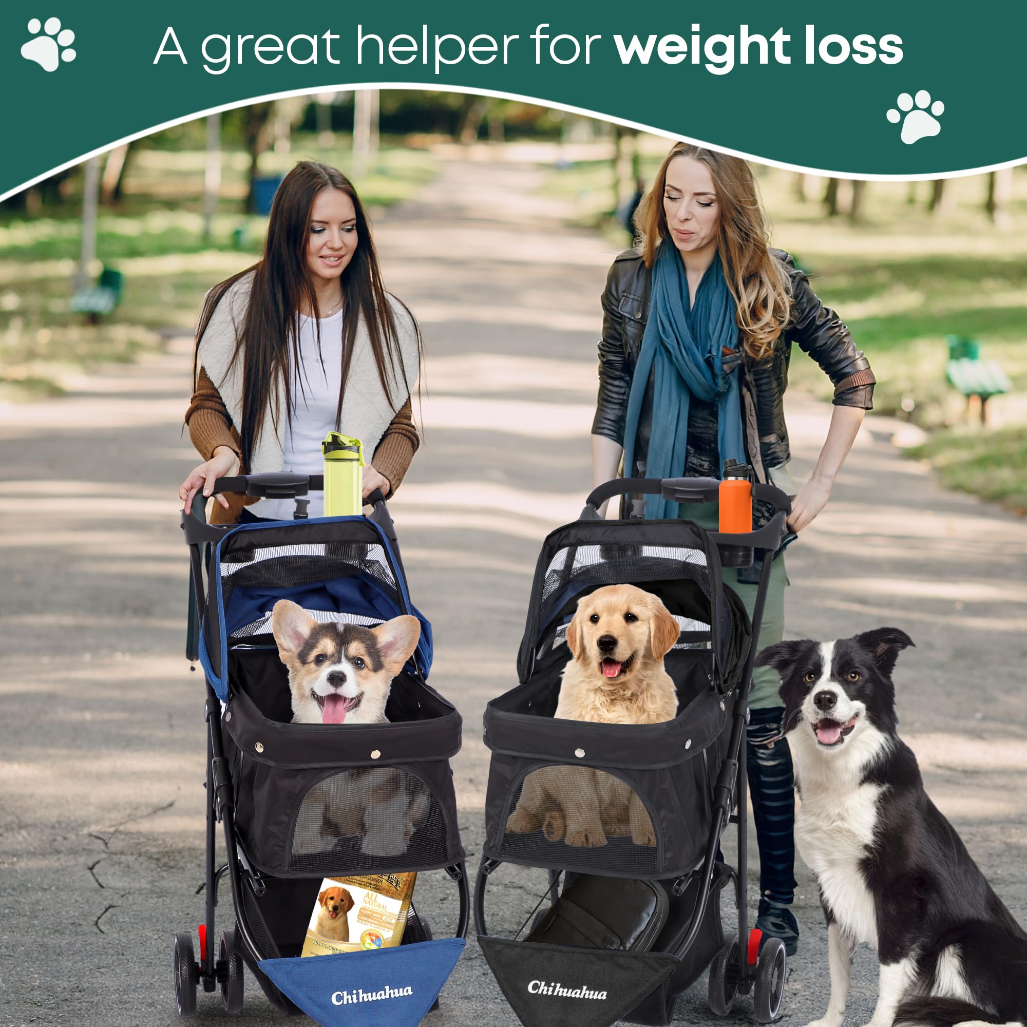 Chihuahua pet stroller easy-fold design fits in trunks.