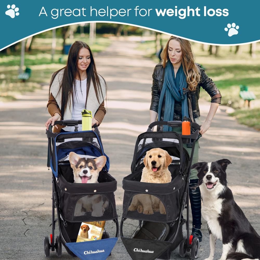 Chihuahua stroller in outdoor park use shows practical outings with pets.
