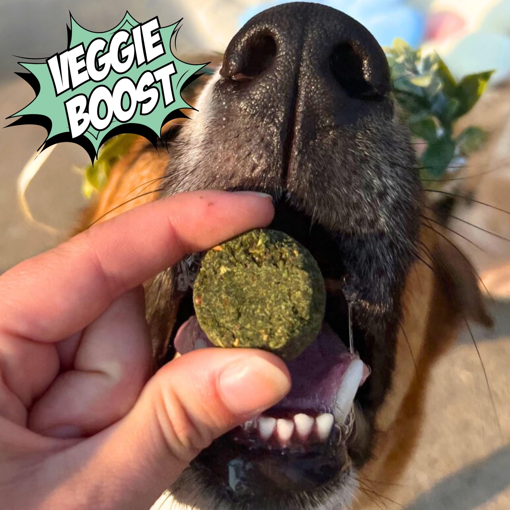 Chippin plant-based treats with kale and oats, vibrant greens and fiber