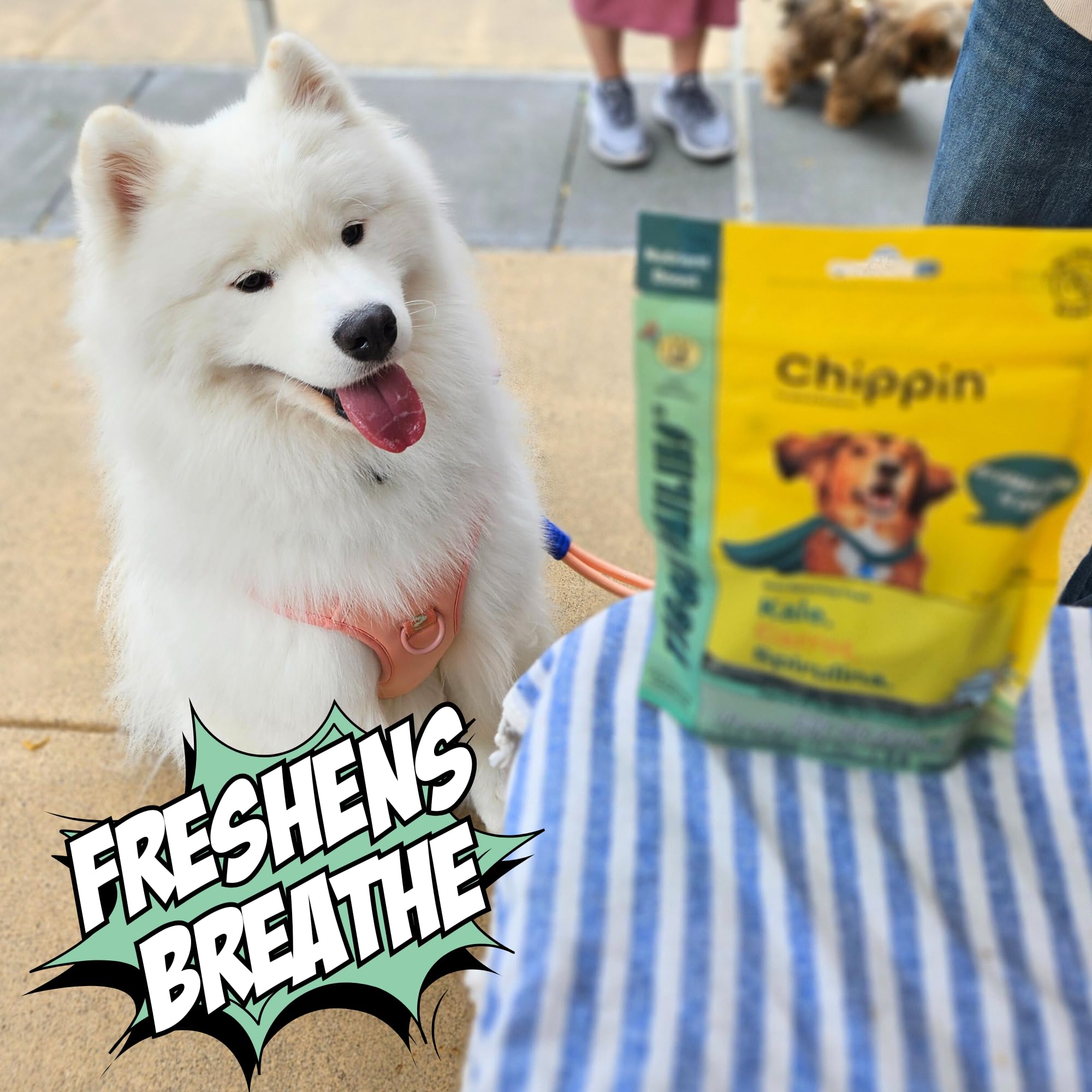 Chippin sustainable packaging with plastic-neutral pledge and post-consumer materials