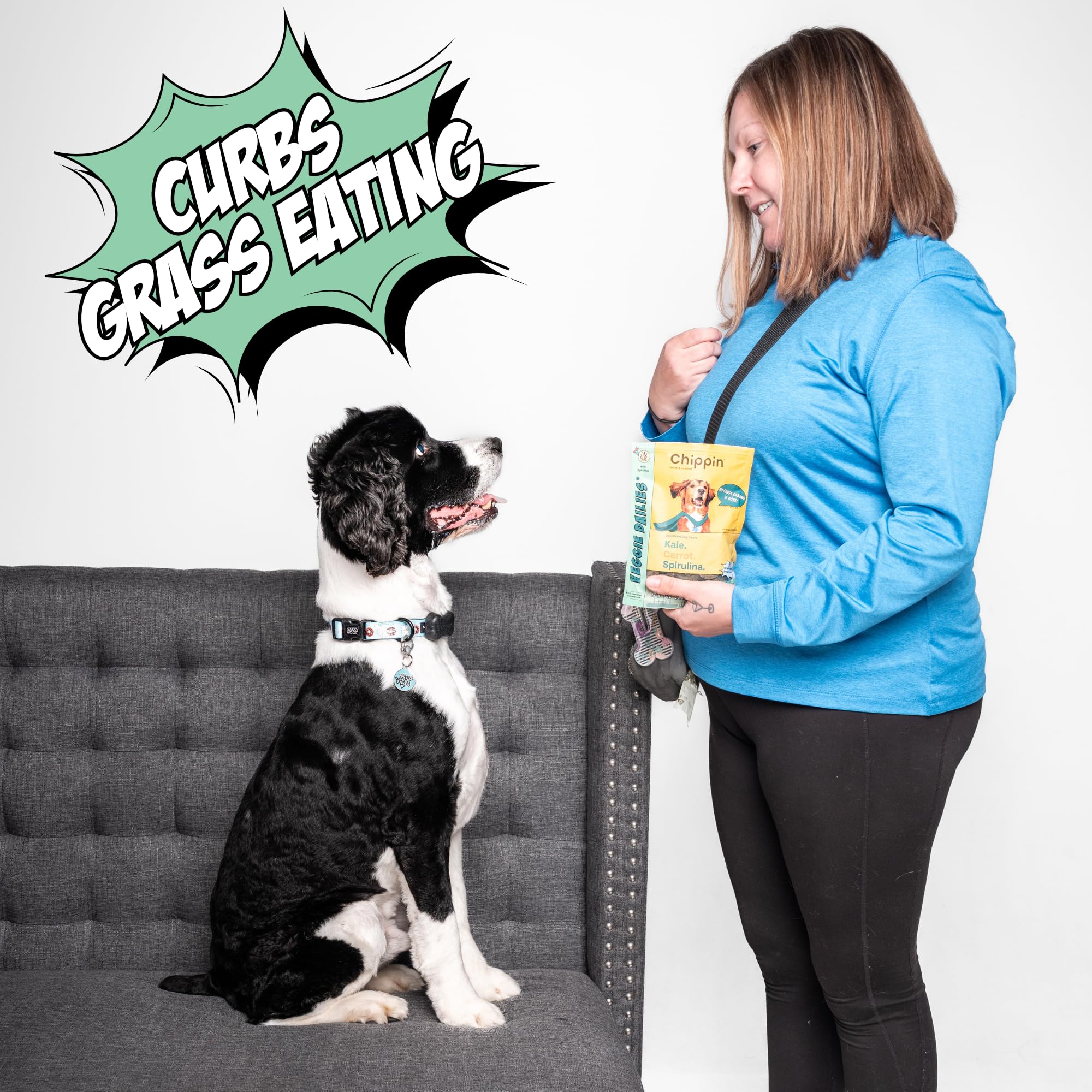 Chippin vegan dog treats for puppies, training-friendly and meat-free