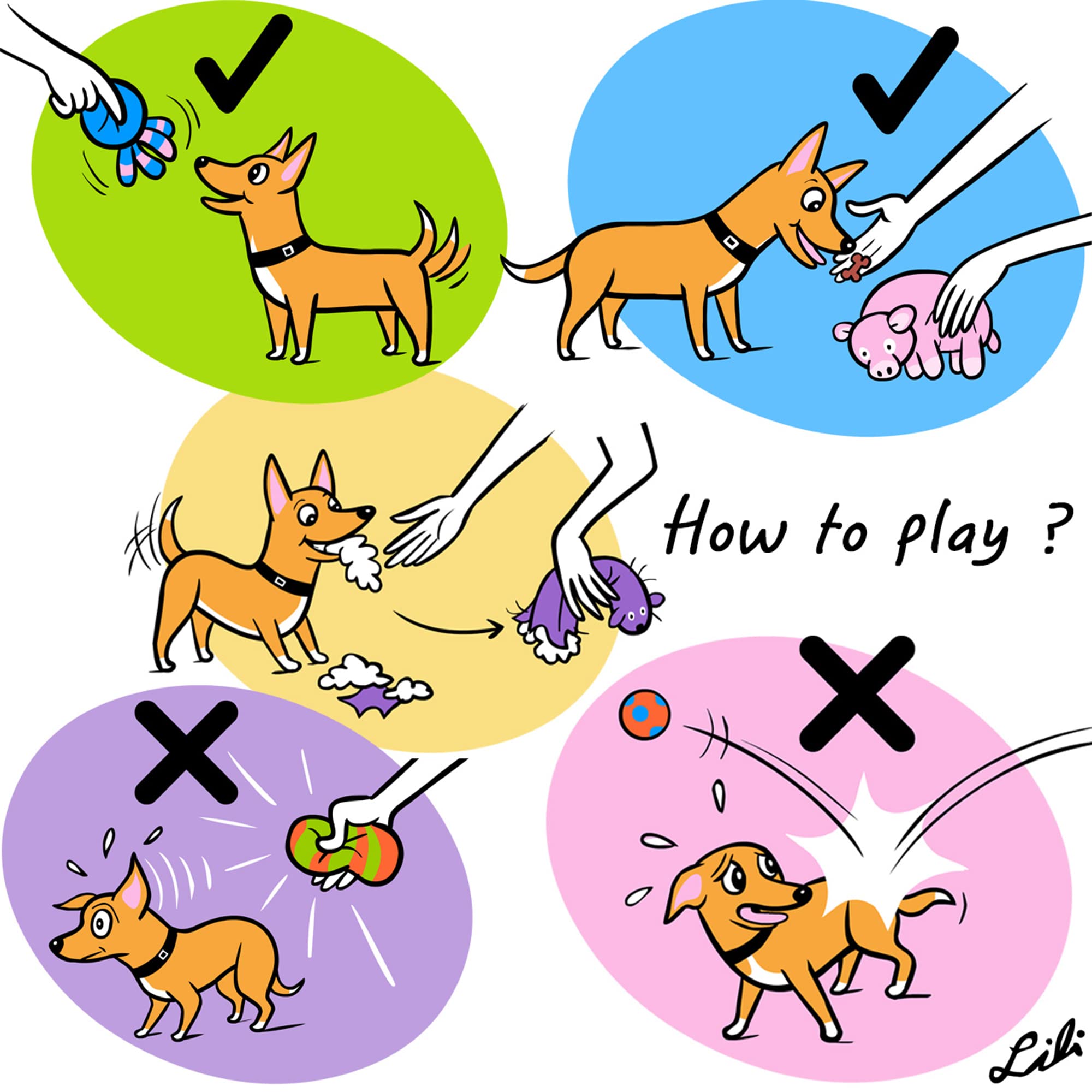 CHIWAVA dog toy designed for tug and fetch to boost interactive play