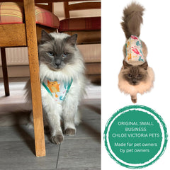 Chloe Victoria Pets post-surgery cat suit enables easy bathroom access during recovery.