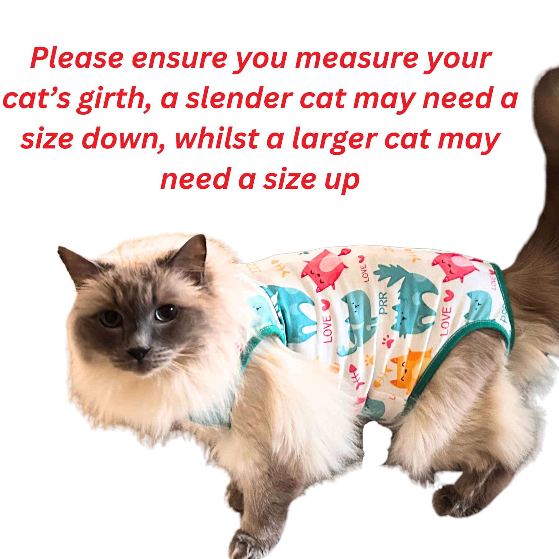 Chloe Victoria Pets breathable fabric cat recovery onesie for gentle healing.
