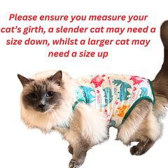 Chloe Victoria Pets breathable fabric cat recovery onesie for gentle healing.