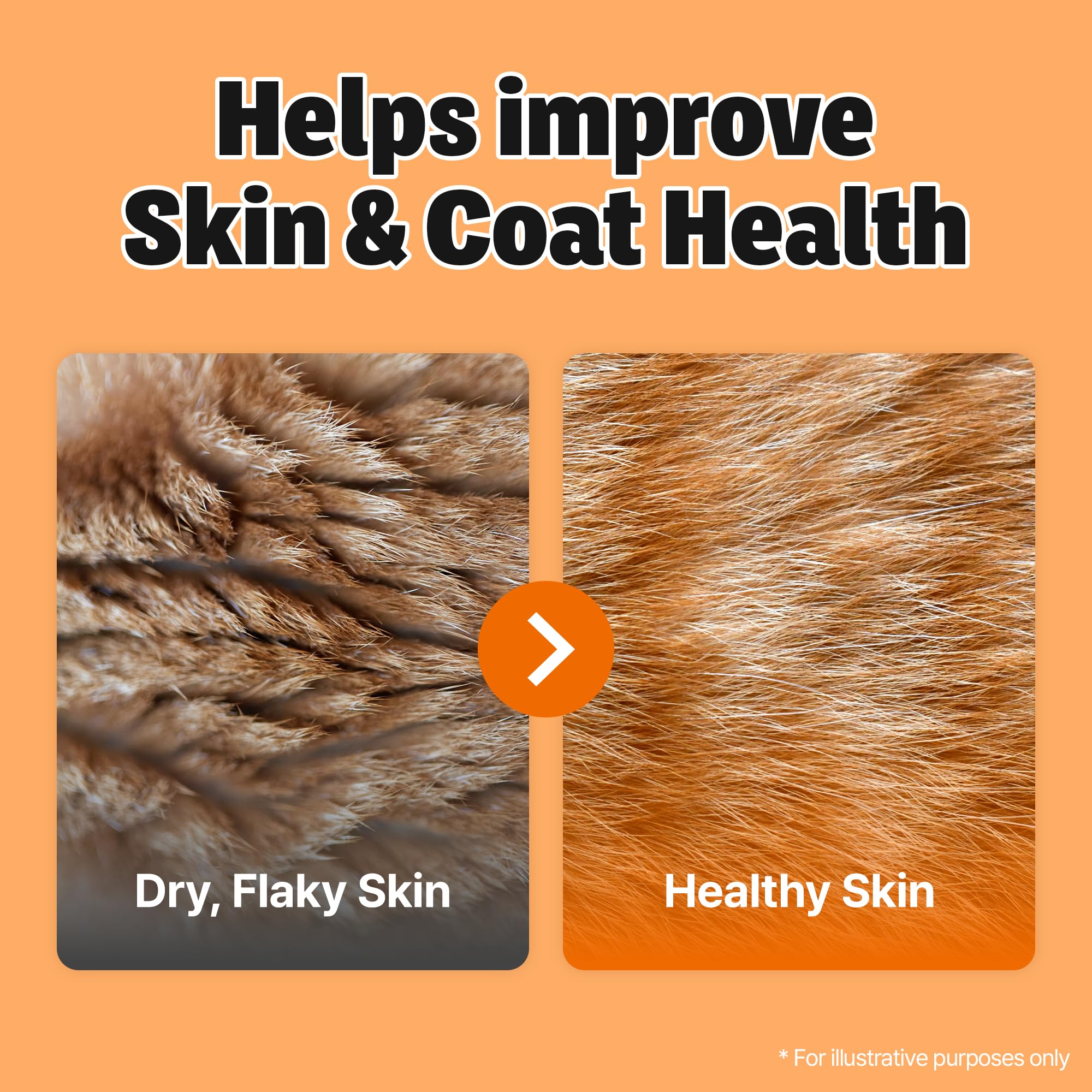 Chogong EPA-DHA note signals potent omega-3 support for coat health.