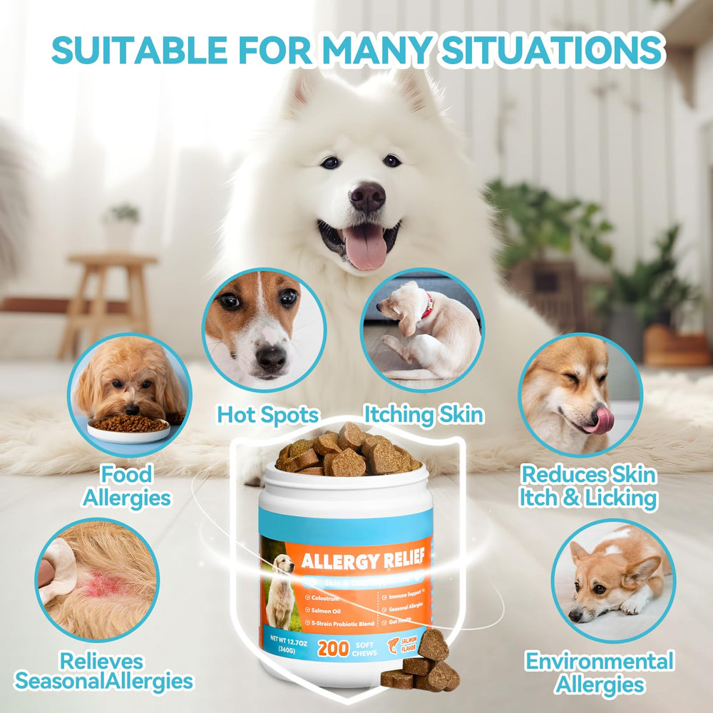 ChoHeel Dog Allergy Chews jar back label highlighting probiotic and colostrum ingredients for immune support