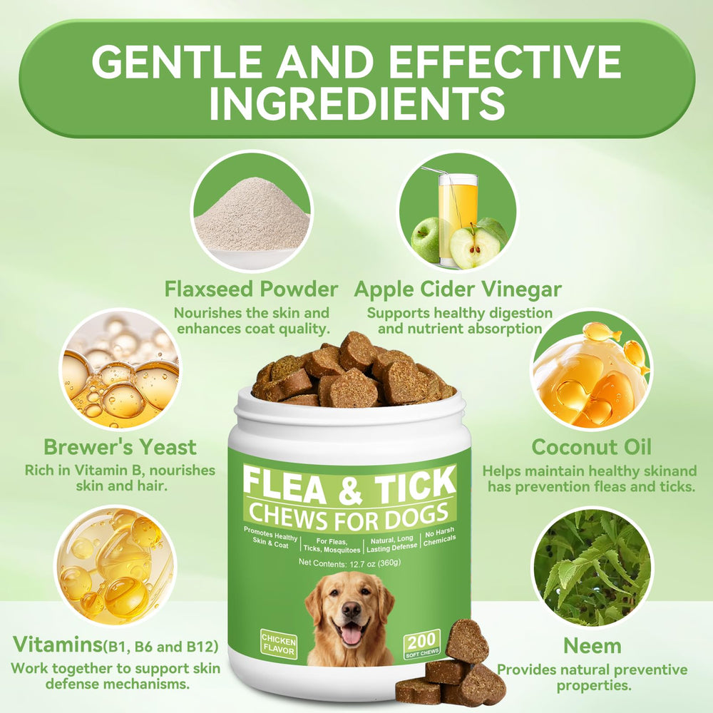 Dog enjoying ChoHeel chicken-flavor chew