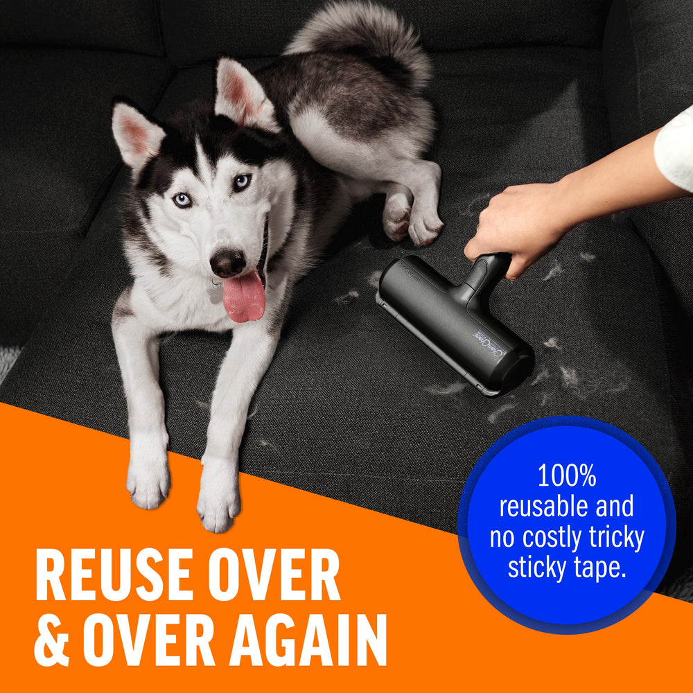 ChomChom Roller used in car interior to remove pet hair.